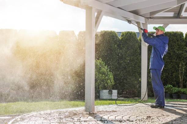 Best Pre-Holiday Cleaning  in Camp Wood, TX